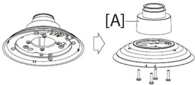 [A]