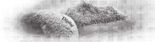 Diput