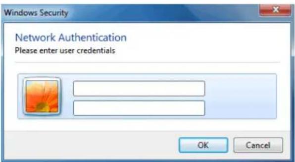 Windows Security Network Authentication Please enter user credentials OK Cancel