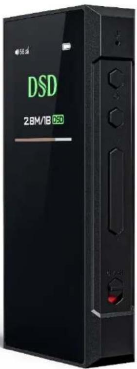 DSD 28M/1B SSD