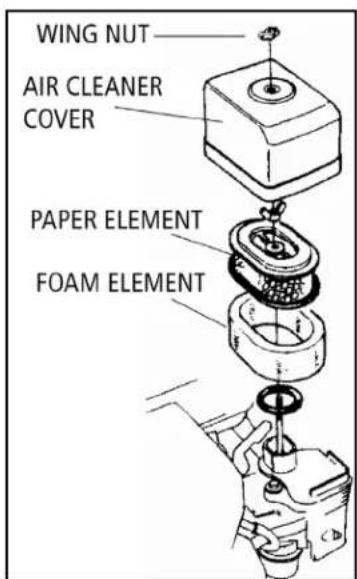 Lifan ST4TWP-LT - To Check Air Cleaner Element: - 3