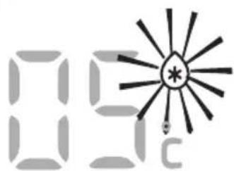 09 c