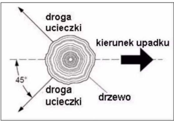 droga ucieczki kierunek upadku 45° droga ucieczki drzewo