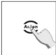 Arion