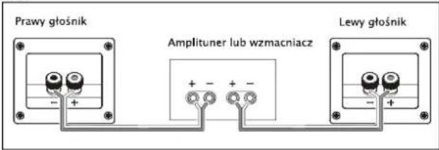 Prawy głośnik Amplituner lub wzmacniacz Lewy głośnik