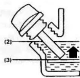 (2) (3)