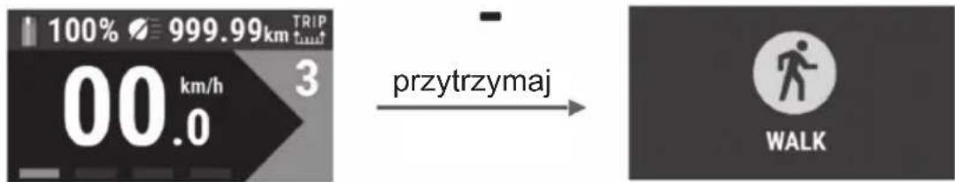 100% 999.99km TRIP 00 km/h 3 przytrzymaj WALK