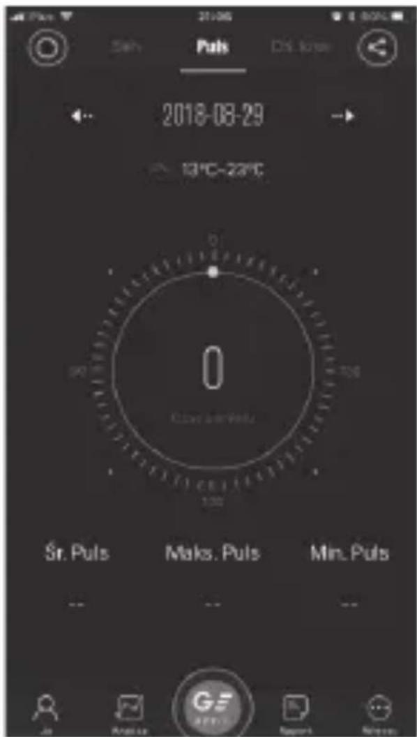 Puls 2018-08-29 13°C-22°C Sr. Puls Maks. Puls Min. Puls Ja Analyze GE Report Show