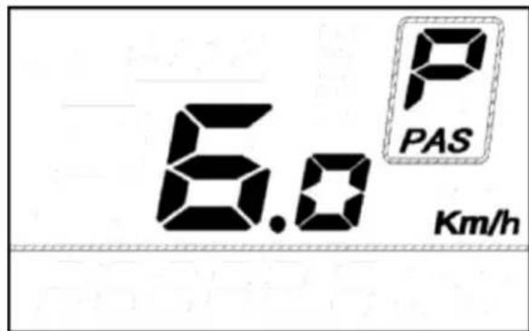 6.0 P PAS Km/h