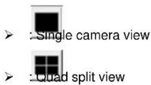 : Single camera view : Quad split view