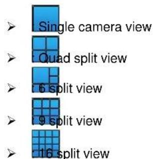 Single camera view Quad split view 6 split view 9 split view 16 split view