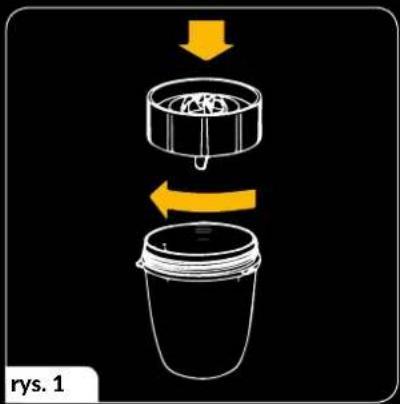 rys. 1