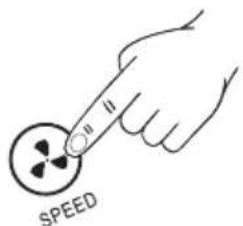 SPEED