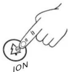 ION