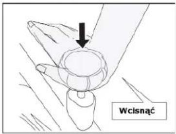 WcIsnać