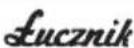 Łucznik Laura 555 - MASZYNY DO SZYCIA - 14