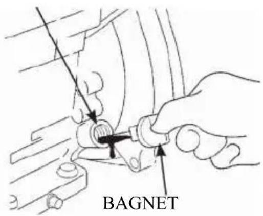 BAGNET