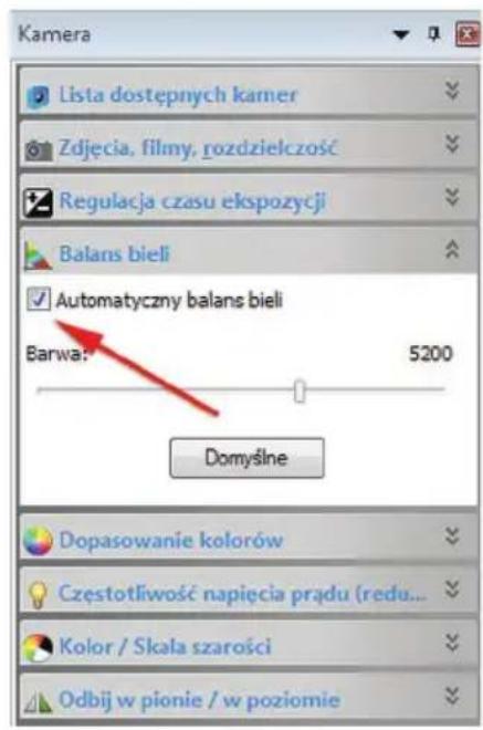 Kamera Lista dostępnych kamer Zdjęcia, filmy, rozdzielczość Regulacja czasu ekspozycji Balans bieli Automatyczny balans bieli Barwa: 5200 Domyślne Dopasowanie kolorów Częstotliwość napięcia prądu (redu... Kolor / Skała szarości Odbij w pionie / w poziomie