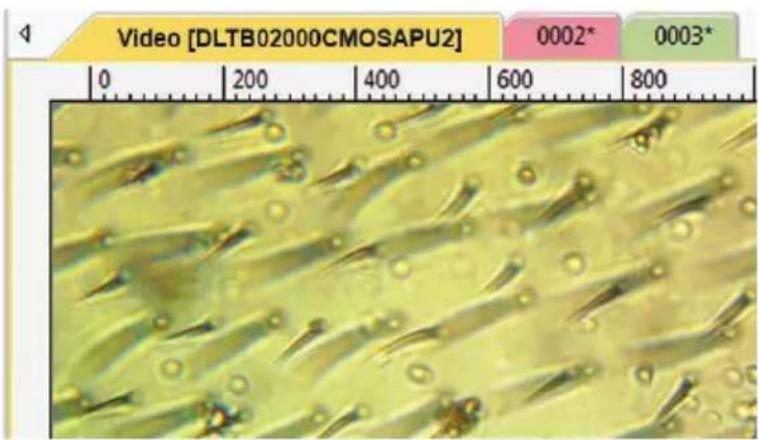 Video [DLTB02000CMOSAPU2] 0002* 0003*