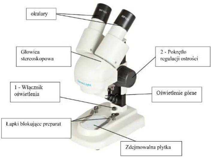 okulary Głowica stereoskopowa 1 - Włącznik oświetlenia Łapki blokujące preparat 2 - Pokrętło regulacji ostrości Oświetlenie górne Zdejmowalna płytka