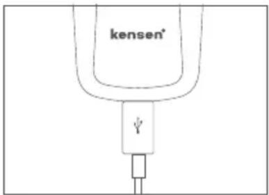 kensen*