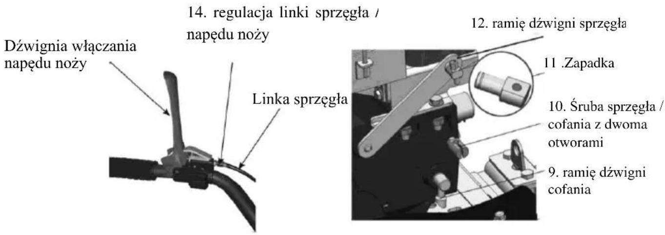 Dźwignia włączania napędu noży 14. regulacja linki sprzęgła / napędu noży Linka sprzęgła 12. ramię dźwigni sprzęgła 11 .Zapadka 10. Śruba sprzęgła / cofania z dwoma otworami 9. ramię dźwigni cofania