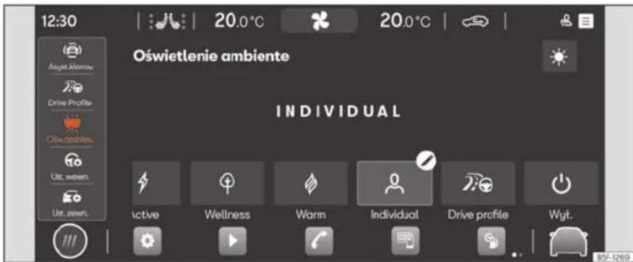 12:30 Oświetlenie ambiente INDIVIDUAL Active Wellness Warm Individual Drive profile Wyt.