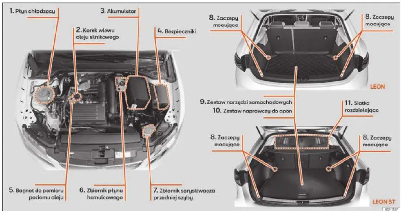 1. Płyn chłodzący 2. Korek wlewu oleju silnikowego 3. Akumulator 4. Bezpieczniki 5. Bagnet do pomiaru poziomu oleju 6. Zbiornik płynu hamulcowego 7. Zbiornik spryskiwacza przedniej szyby 8. Zaczepy mocujące 9. Zestaw narzędzi samochodowych 10. Zestaw naprawczy do opon 11. Siatka rozdzielająca 12. Zaczepy mocujące 13. Zaczepy mocujące LEON ST 85F-1137