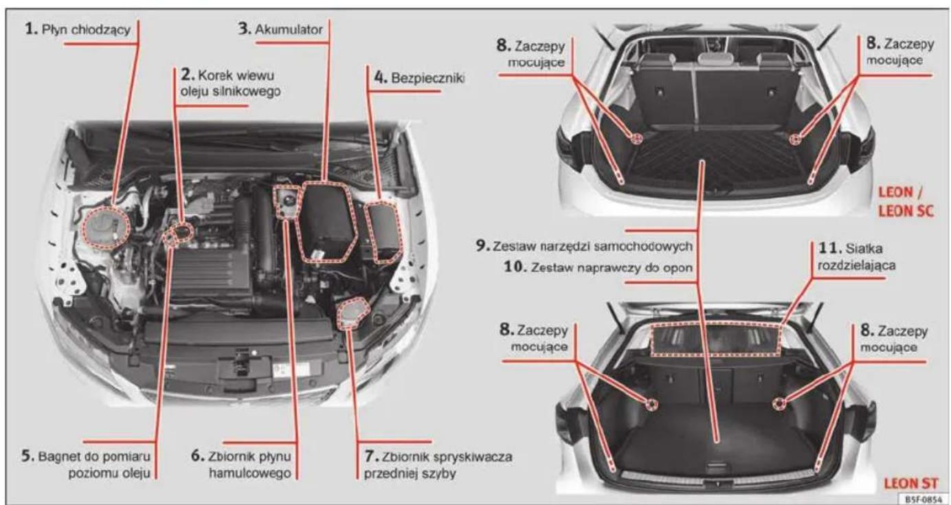 1. Płyn chłodzący 2. Korek wiewu oleju silnikowego 3. Akumulator 4. Bezpieczniki 5. Bagnet do pomiaru poziomu oleju 6. Zbiornik płynu hamulcowego 7. Zbiornik spryskiwacza przedniej szyby 8. Zaczepy mocujące 9. Zestaw narzędzi samochodowych 10. Zestaw naprawczy do opon 11. Siatka rozdzielająca 12. Zaczepy mocujące 13. Zaczepy mocujące LEON / LEON SC LEON ST B5F-0854