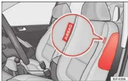 AIRBAG BIF-0306