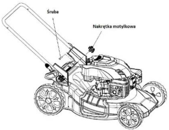 Śruba Nakrętka motylkowa