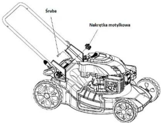 Śruba Nakrętka motylkowa