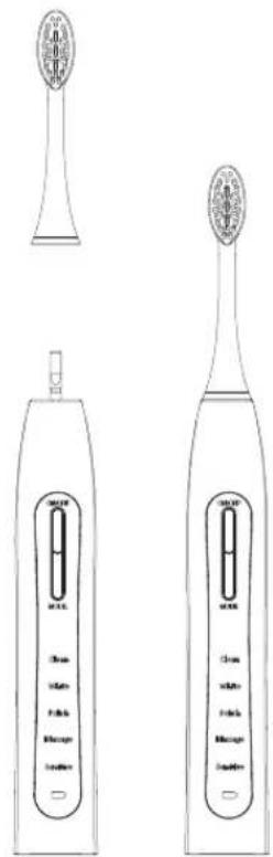 Vitammy Platinum - PRZED PIERWSZYM UŻYCIEM - 2