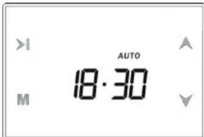 Smith&Brown SOE-SC424-BP28 - Automatyczne pieczenie - 8