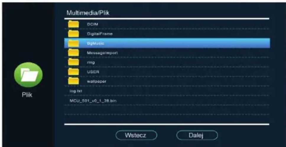 Eura VDA-10C5 - Menadżer Plików - 2