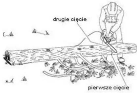 drugie cięcie pierwsze cięcie