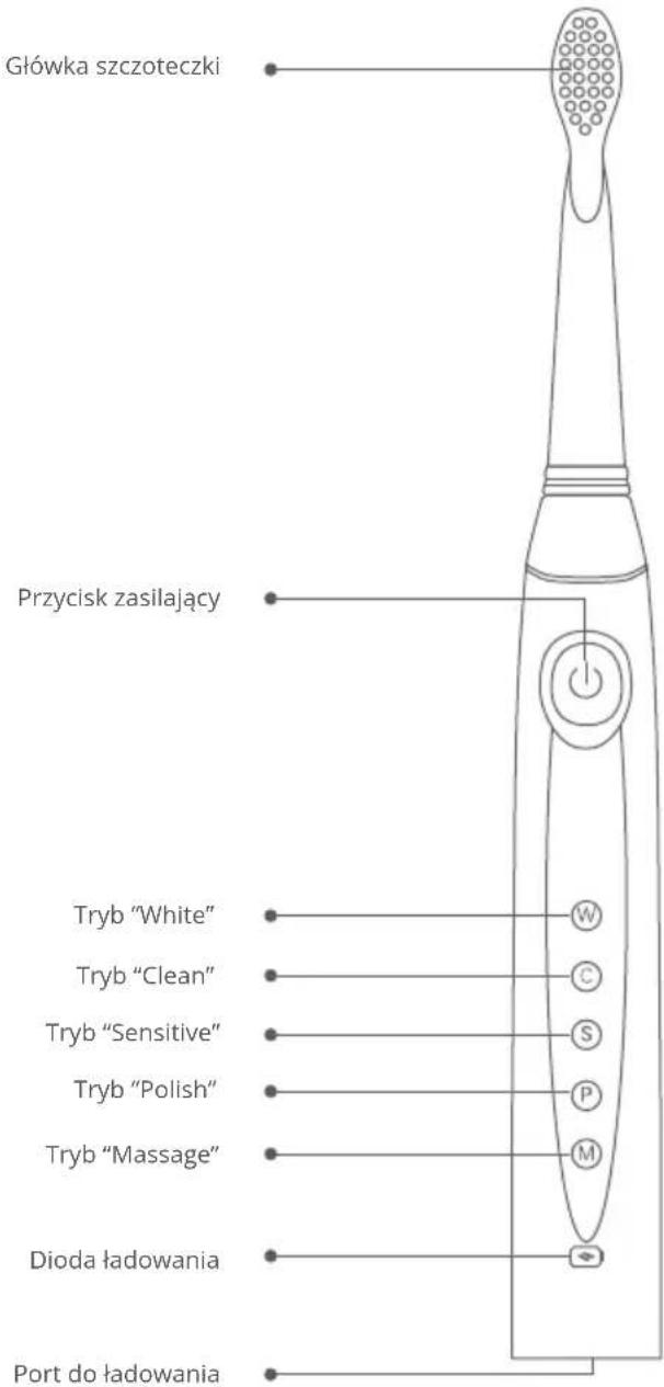 Główka szczoteczki Przycisk zasilający Tryb "White" Tryb "Clean" Tryb "Sensitive" Tryb "Polish" Tryb "Massage" Dioda ładowania Port do ładowania