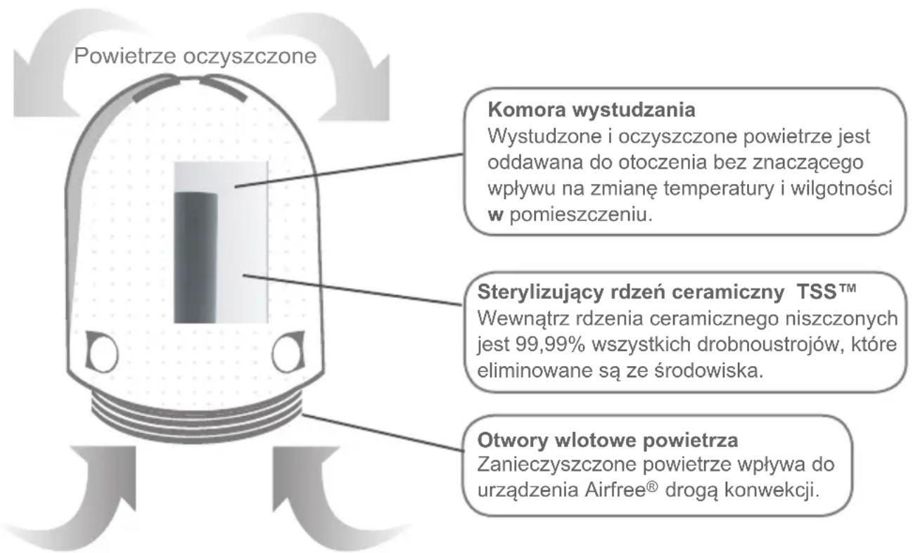 Powietrze oczyszczone Komora wystudzania Wystudzone i oczyszczone powietrze jest oddawana do otoczenia bez znaczącego wpływu na zmianę temperatury i wilgotności w pomieszczeniu. Serylizujący rdzeń ceramiczny TSS™ Wewnątrz rdzenia ceramicznego niszczonych jest 99,99% wszystkich drobnoustrojów, które eliminowane są ze środowiska. Otwory włotowe powietrza Zanieczyszczone powietrze wpływa do urządzenia Airfree® drogą konwekcji.