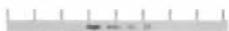 HAGER VF318PTQ - Description - 2