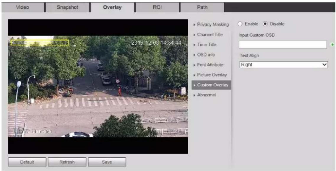 Video Snapshot Overlay ROI Path Privacy Masking Channel Title Time Title OSD info Font Attribute Picture Overlay Custom Overlay Abnormal Enable Disable Input Custom OSD Text Align Right Default Refresh Save