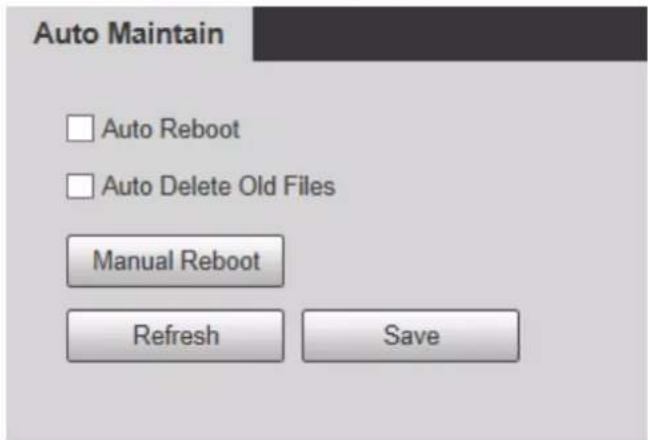 Auto Maintain □ Auto Reboot □ Auto Delete Old Files Manual Reboot Refresh Save