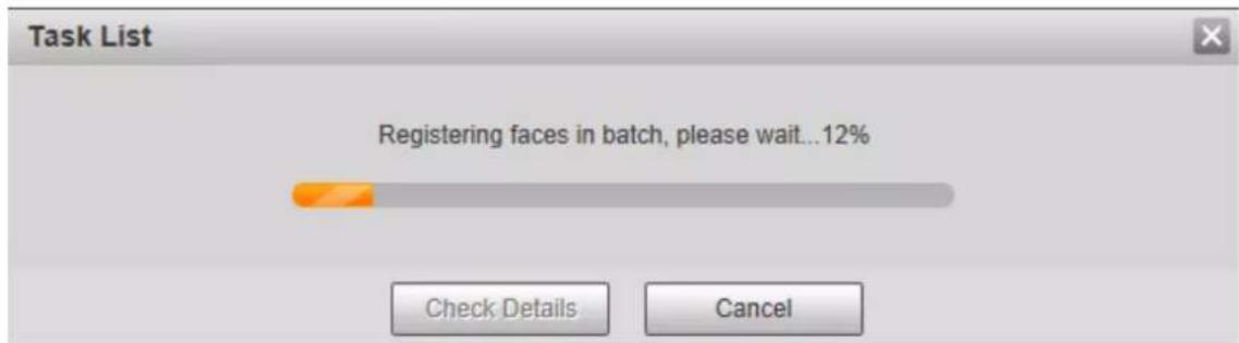 Task List Registering faces in batch, please wait... 12% Check Details Cancel
