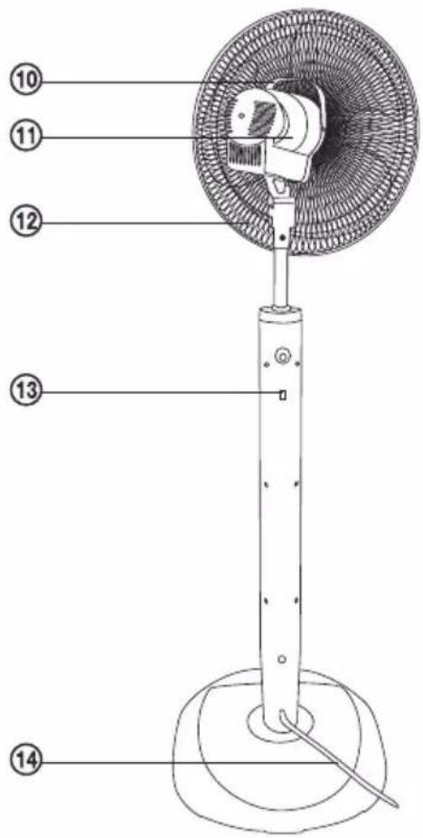 Labeled diagram of a standing fan with numbered parts for identification