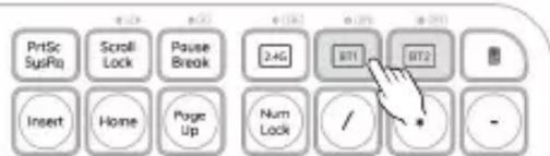 PrtSc SysRq Scroll Lock Pause Break 24G BT1 BT2 Insert Home Page Up Num Lock / -
