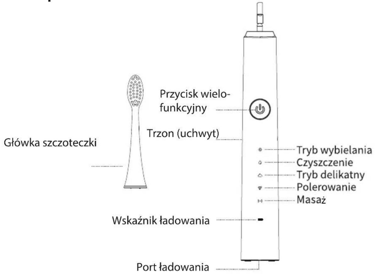 Główka szczoteczki Przycisk wielo- funkcyjny Trzon (uchwyt) Wskaźnik ładowania Port ładowania Tryb wybielania Czyszczenie Tryb delikatny Polerowanie Masaż