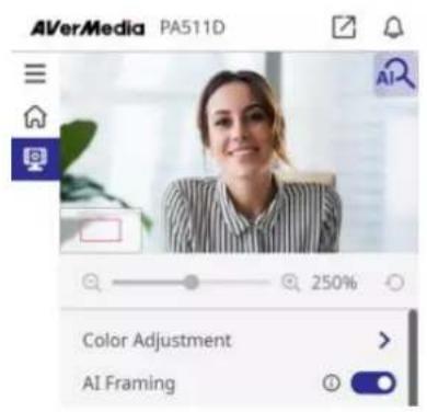 AVERMEDIA PA511D - Digital Zoom and AI Framing Controls - 1