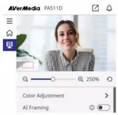 AVERMEDIA PA511D - Digital Zoom and AI Framing Controls - 2