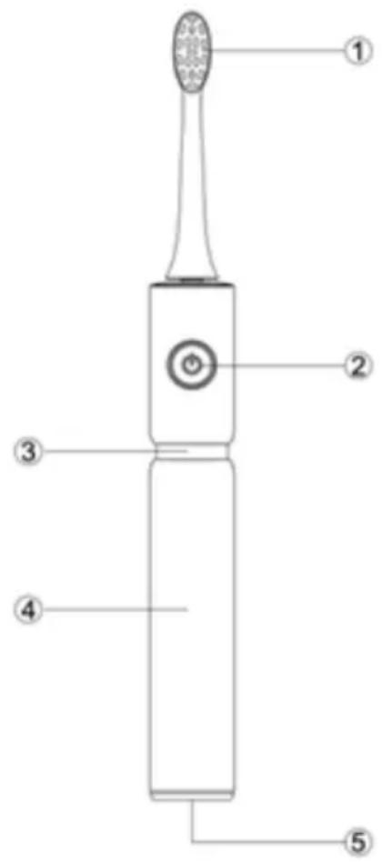 Fairywill FW-P11 - Budowa produktu - 1
