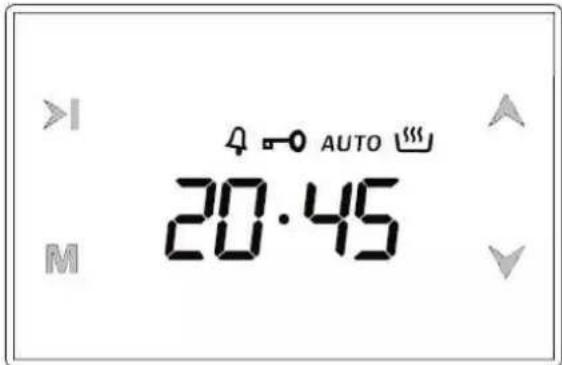Smith&Brown SFG-N311-WPV12 - PRZEGLAD: - 1