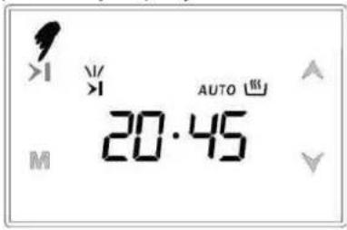 Smith&Brown SFG-N311-WPV12 - AUTOMATYCZNY PROGRAM - 5